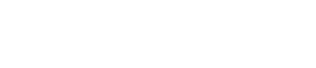 ELEVITA